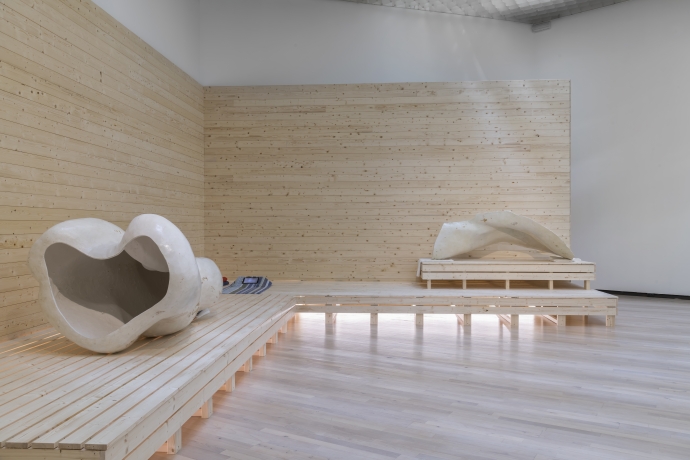 Adrenarchy (2018) Installasjon av Jumana Manna