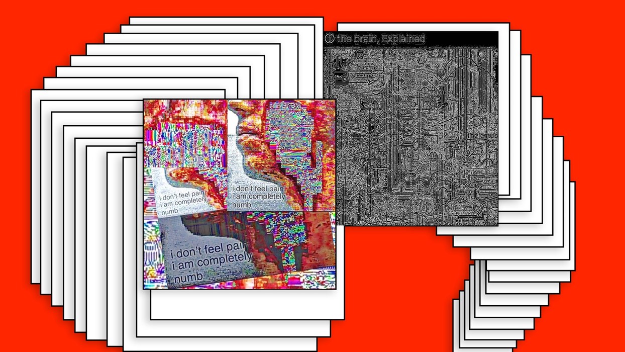 deep-fired meme Dazed