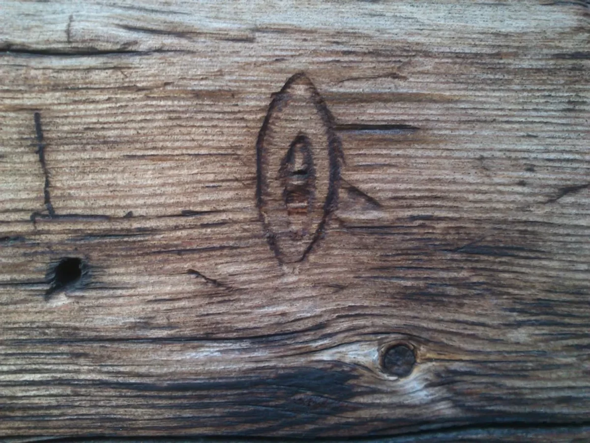 Sissel M. Bergh, Carolina Caycedo, Elin Már Øyen Vister Kunna Guanna Concha