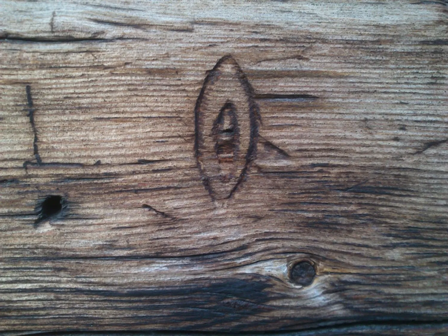 Sissel M. Bergh, Carolina Caycedo, Elin Már Øyen Vister Kunna Guanna Concha