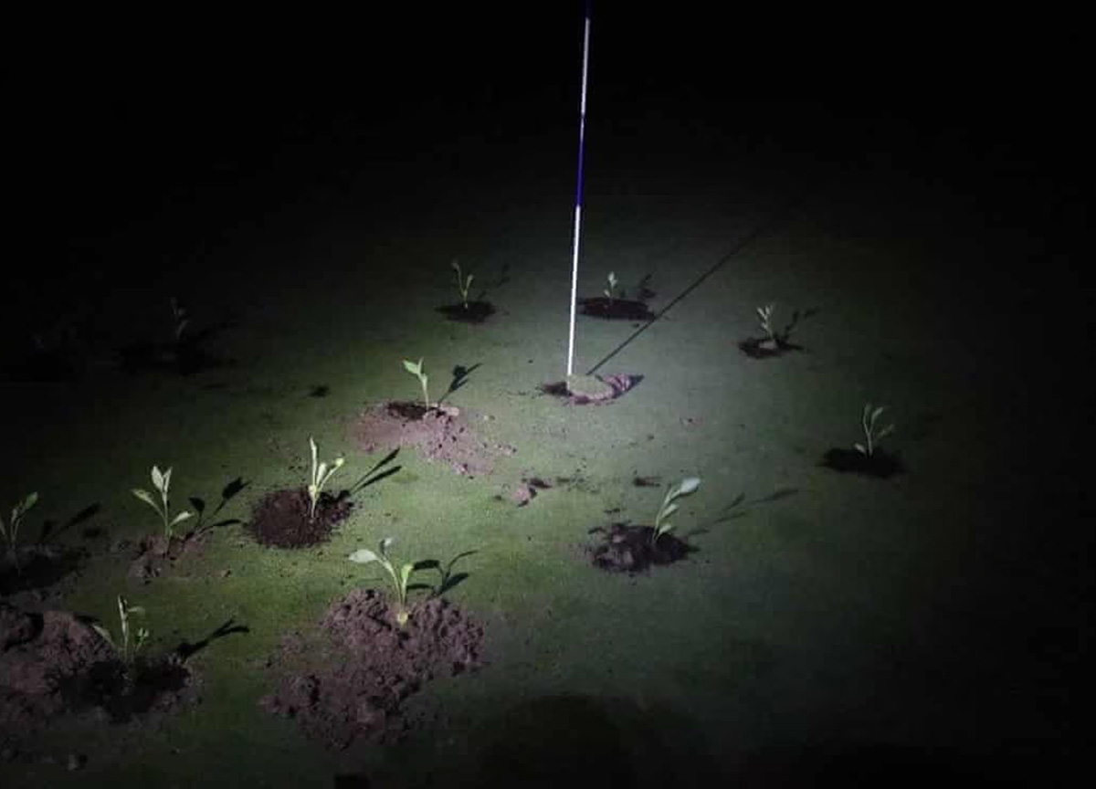 (Foto: Extinction Rebellion/Handout/AFP/Getty Images.)