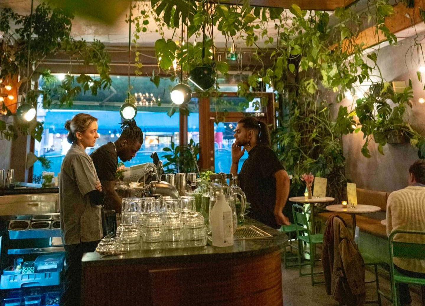 Torggata botaniske ble tatt for Diskrimineringsnemnda for å nekte folk under 23. Nå har Nemnda tapt i Oslo tingrett. (Skjermbilde: Oslobotaniske/Facebook.) aldersgrense