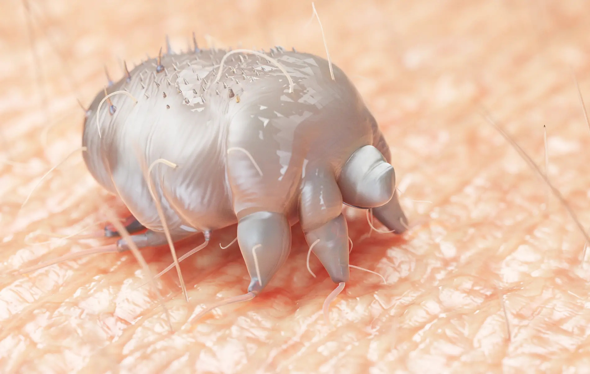 Skabb Nasjonalmuseet vektere jakker