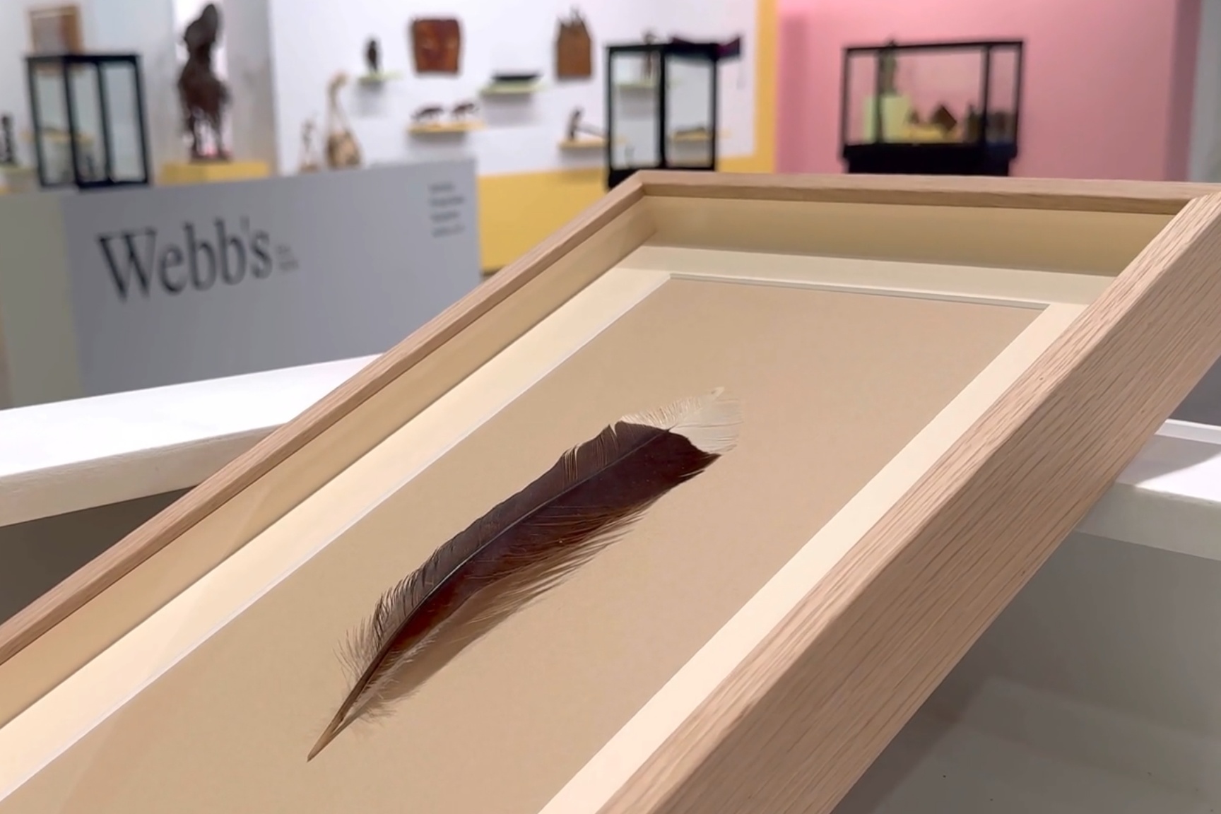 Huia utdødd fjær auksjon New Zealand 30 millioner Webb's action house